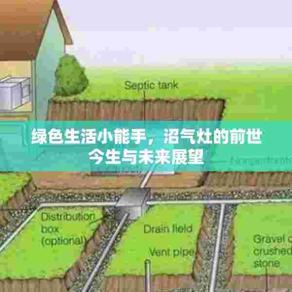 绿色生活小能手，沼气灶的前世今生与未来展望