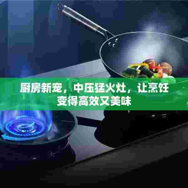 厨房新宠，中压猛火灶，让烹饪变得高效又美味