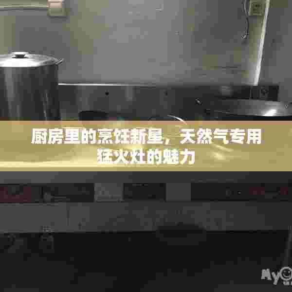厨房里的烹饪新星，天然气专用猛火灶的魅力