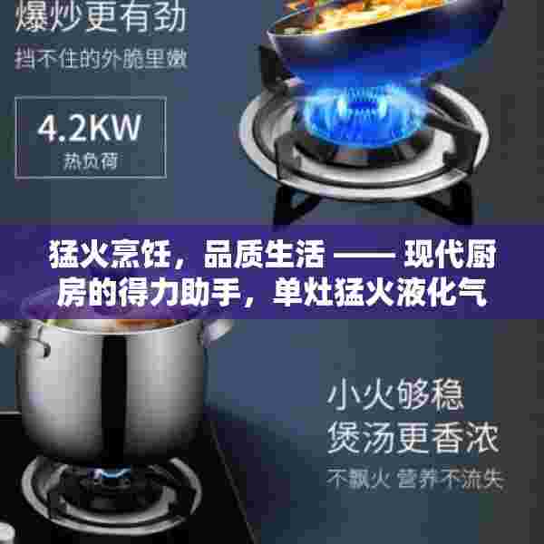 猛火烹饪，品质生活 —— 现代厨房的得力助手，单灶猛火液化气灶