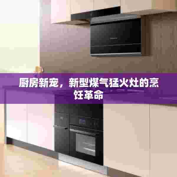 厨房新宠，新型煤气猛火灶的烹饪革命