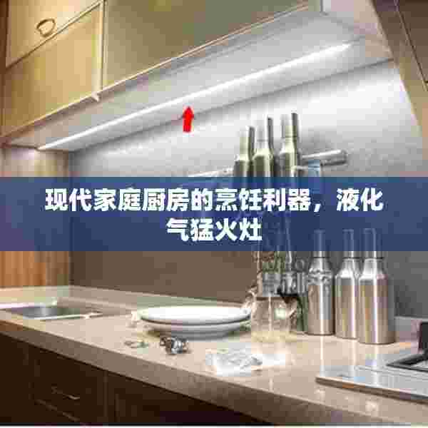 现代家庭厨房的烹饪利器，液化气猛火灶