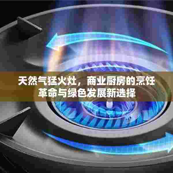 天然气猛火灶，商业厨房的烹饪革命与绿色发展新选择
