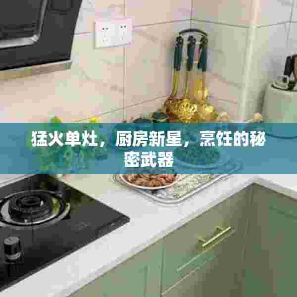 猛火单灶，厨房新星，烹饪的秘密武器