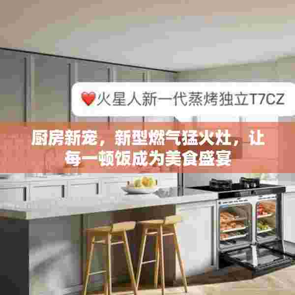 厨房新宠，新型燃气猛火灶，让每一顿饭成为美食盛宴