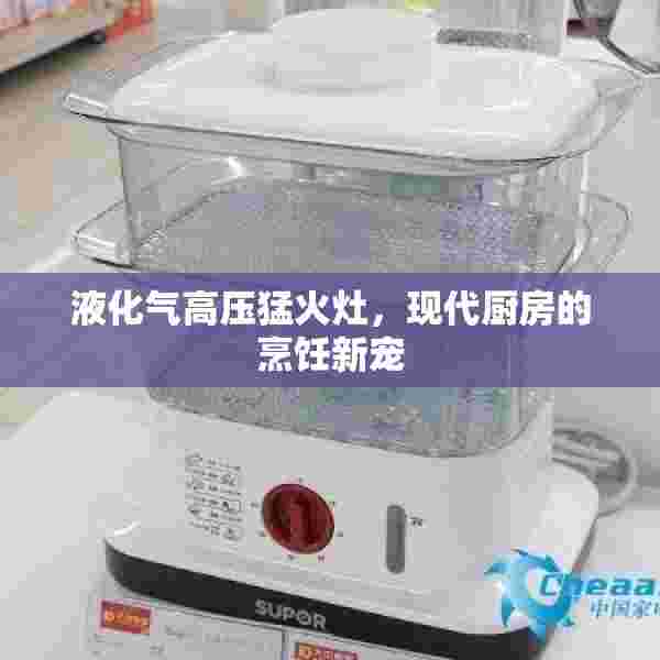 液化气高压猛火灶，现代厨房的烹饪新宠
