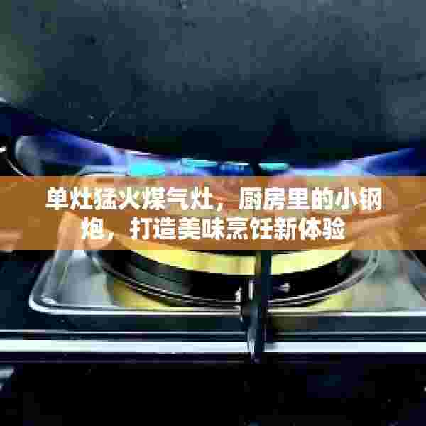 单灶猛火煤气灶，厨房里的小钢炮，打造美味烹饪新体验