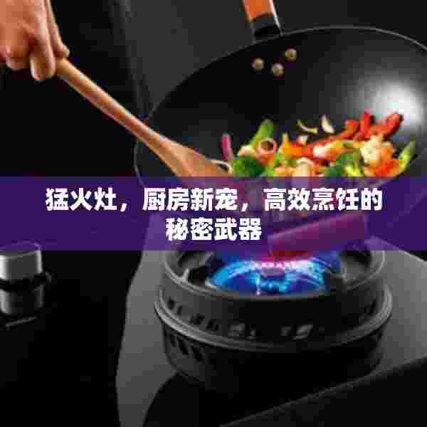 猛火灶，厨房新宠，高效烹饪的秘密武器