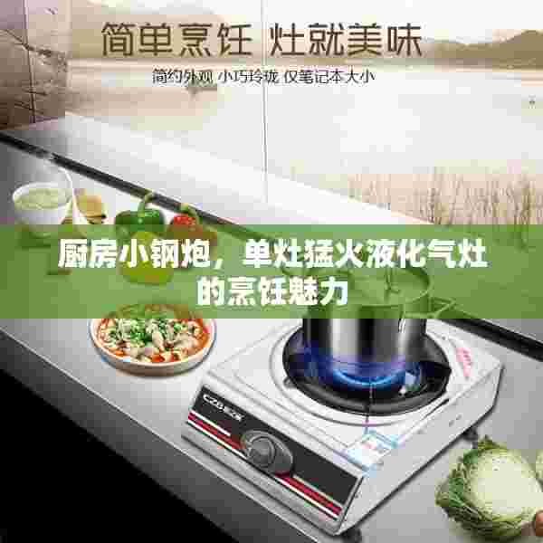 厨房小钢炮，单灶猛火液化气灶的烹饪魅力