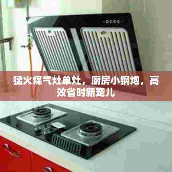 猛火煤气灶单灶，厨房小钢炮，高效省时新宠儿