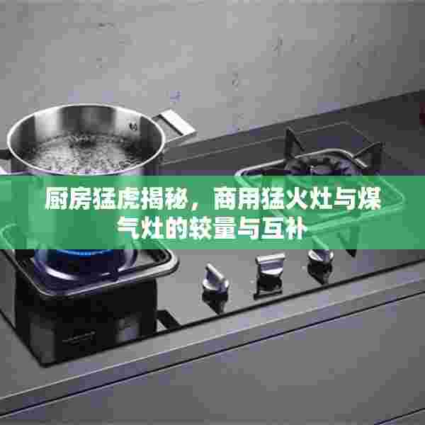 厨房猛虎揭秘，商用猛火灶与煤气灶的较量与互补