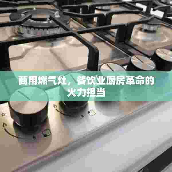 商用燃气灶，餐饮业厨房革命的火力担当