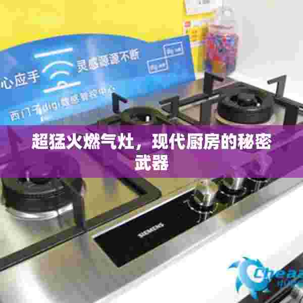 超猛火燃气灶，现代厨房的秘密武器