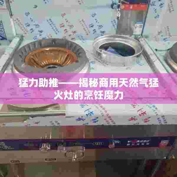 猛力助推——揭秘商用天然气猛火灶的烹饪魔力
