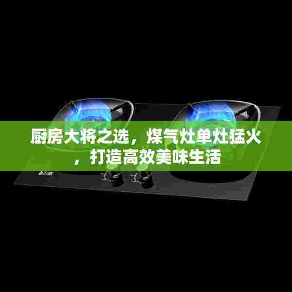 厨房大将之选，煤气灶单灶猛火，打造高效美味生活