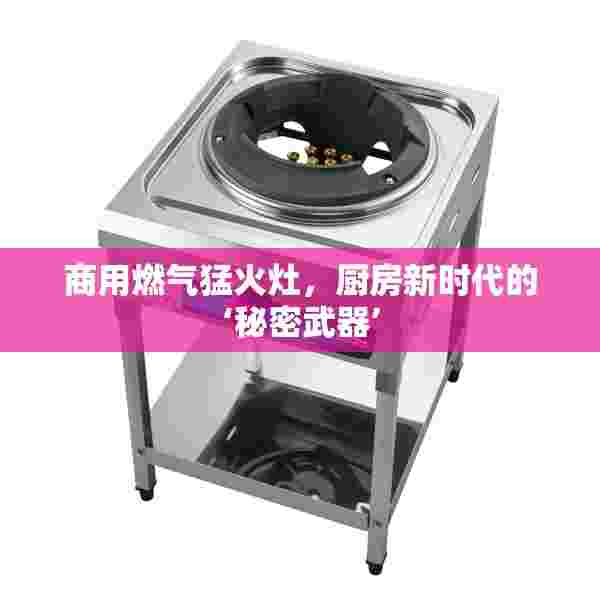 商用燃气猛火灶，厨房新时代的‘秘密武器’
