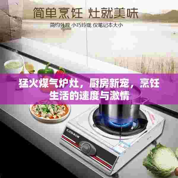 猛火煤气炉灶，厨房新宠，烹饪生活的速度与激情