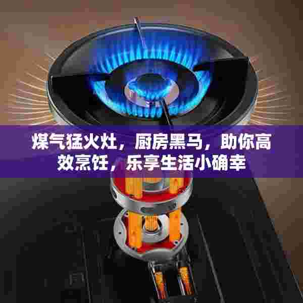 煤气猛火灶，厨房黑马，助你高效烹饪，乐享生活小确幸