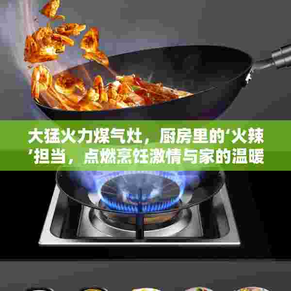 大猛火力煤气灶，厨房里的‘火辣’担当，点燃烹饪激情与家的温暖