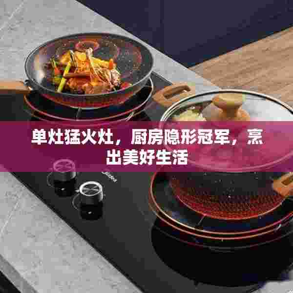 单灶猛火灶，厨房隐形冠军，烹出美好生活