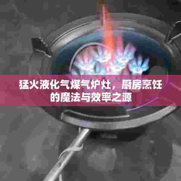 猛火液化气煤气炉灶，厨房烹饪的魔法与效率之源