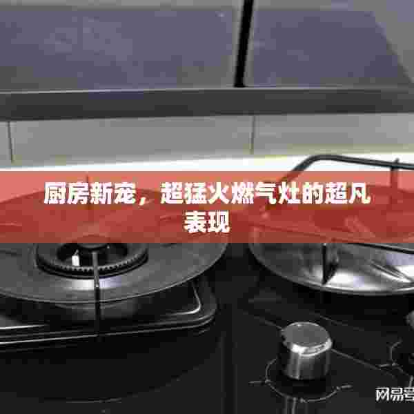 厨房新宠，超猛火燃气灶的超凡表现