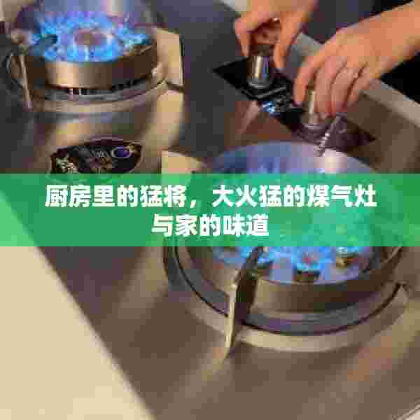 厨房里的猛将，大火猛的煤气灶与家的味道