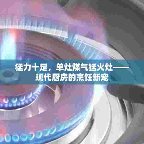 猛力十足，单灶煤气猛火灶——现代厨房的烹饪新宠