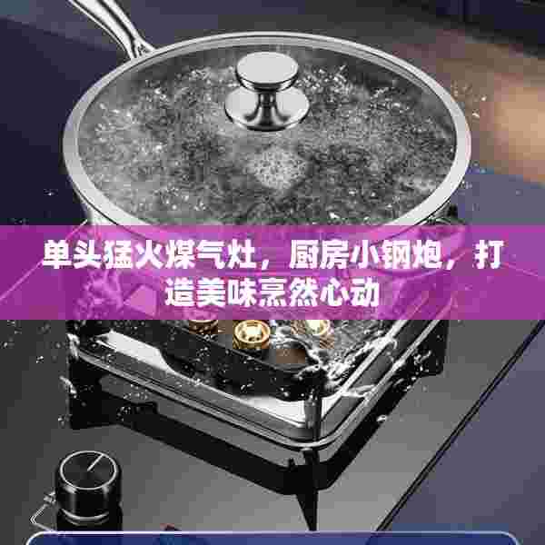 单头猛火煤气灶，厨房小钢炮，打造美味烹然心动