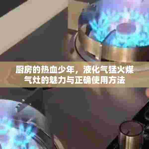 厨房的热血少年，液化气猛火煤气灶的魅力与正确使用方法