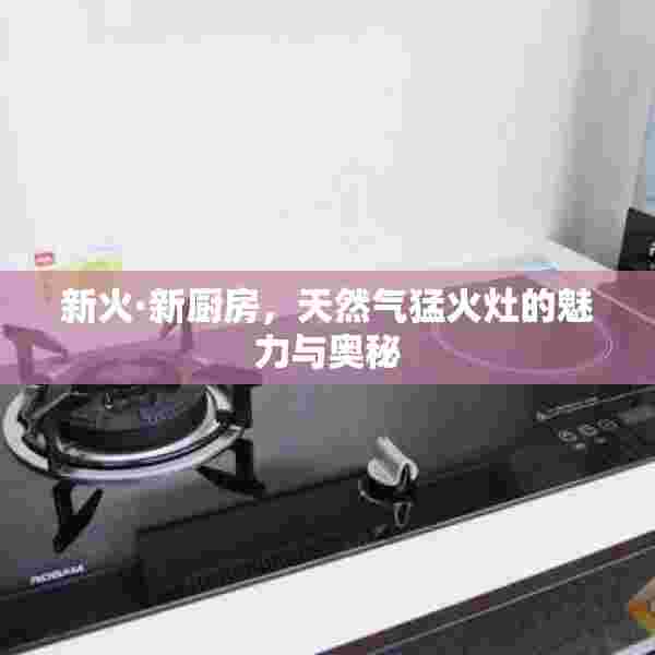 新火·新厨房，天然气猛火灶的魅力与奥秘