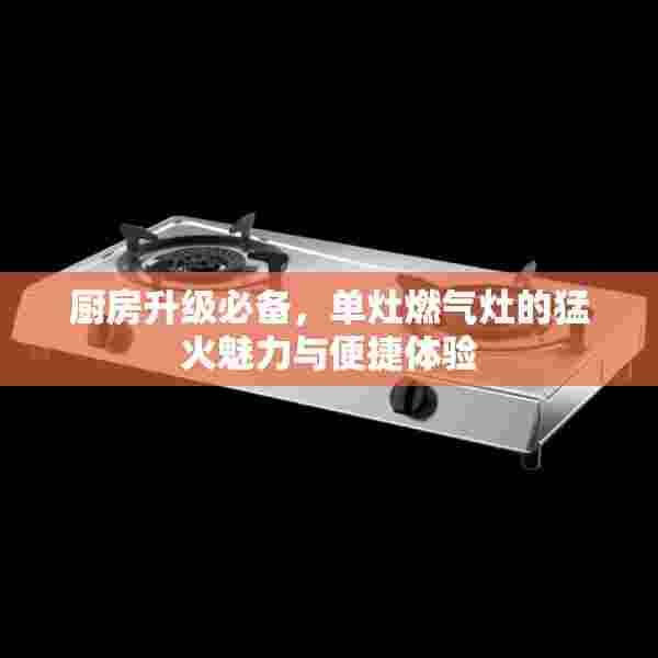 厨房升级必备，单灶燃气灶的猛火魅力与便捷体验