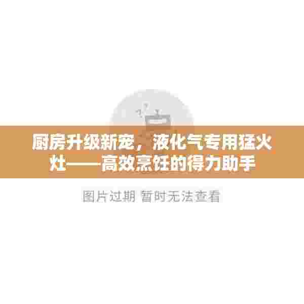 厨房升级新宠，液化气专用猛火灶——高效烹饪的得力助手