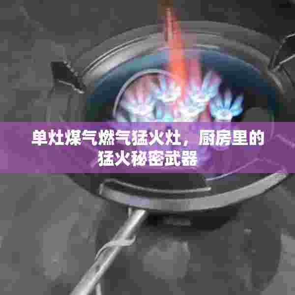 单灶煤气燃气猛火灶，厨房里的猛火秘密武器