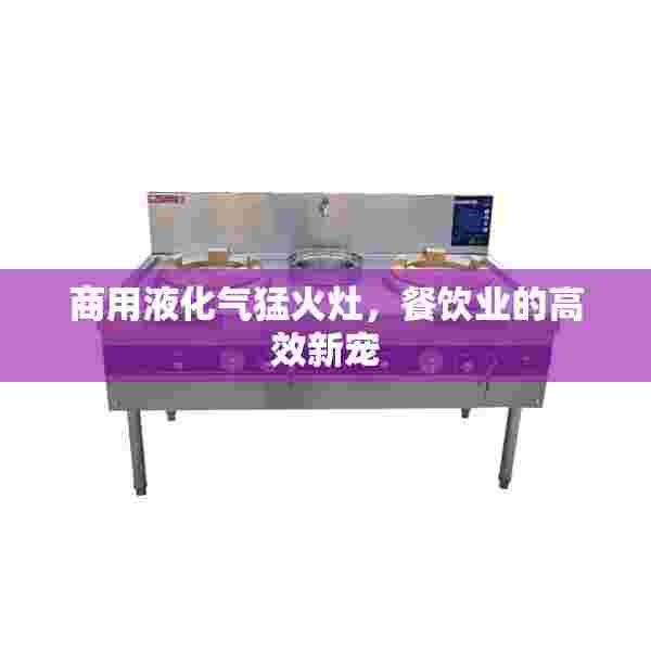 商用液化气猛火灶，餐饮业的高效新宠