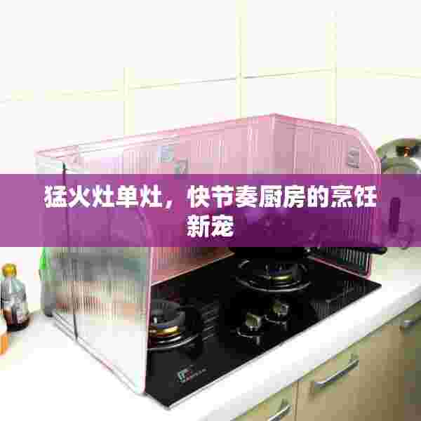 猛火灶单灶，快节奏厨房的烹饪新宠