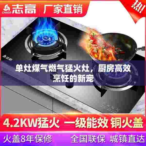 单灶煤气燃气猛火灶，厨房高效烹饪的新宠