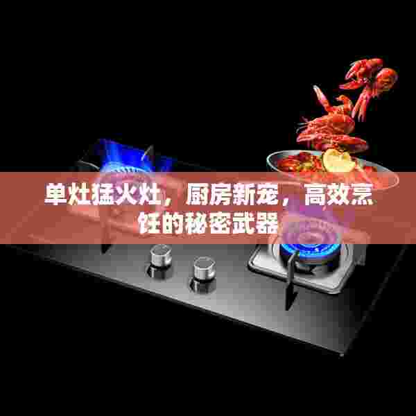 单灶猛火灶，厨房新宠，高效烹饪的秘密武器