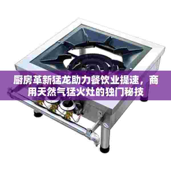 厨房革新猛龙助力餐饮业提速，商用天然气猛火灶的独门秘技