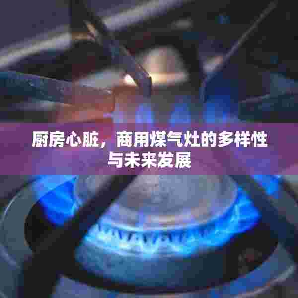 厨房心脏，商用煤气灶的多样性与未来发展