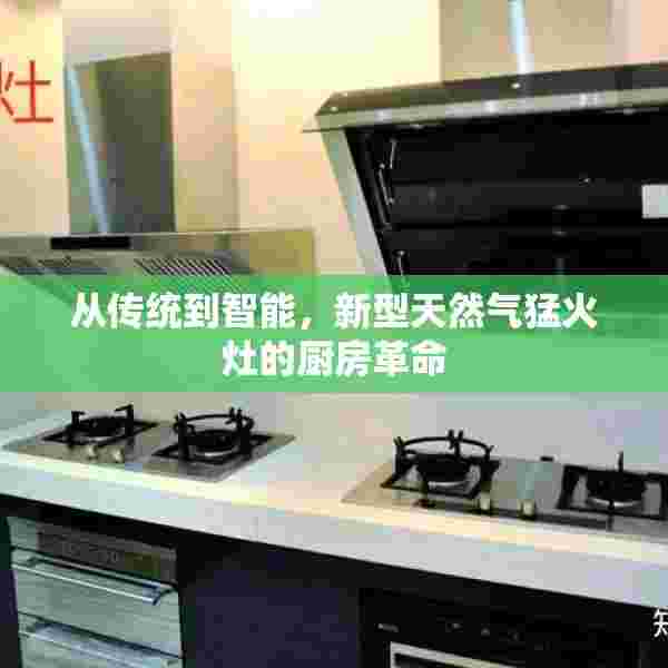 从传统到智能，新型天然气猛火灶的厨房革命