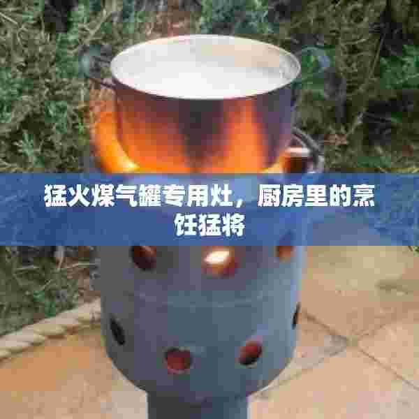 猛火煤气罐专用灶，厨房里的烹饪猛将