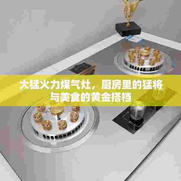 大猛火力煤气灶，厨房里的猛将与美食的黄金搭档