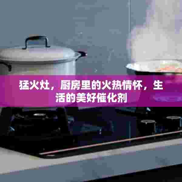 猛火灶，厨房里的火热情怀，生活的美好催化剂