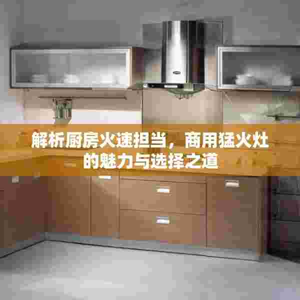 解析厨房火速担当，商用猛火灶的魅力与选择之道