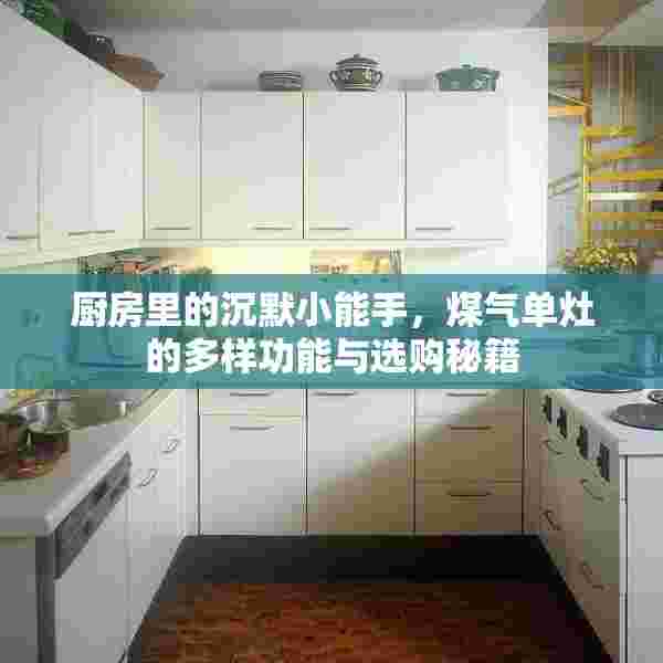 厨房里的沉默小能手，煤气单灶的多样功能与选购秘籍