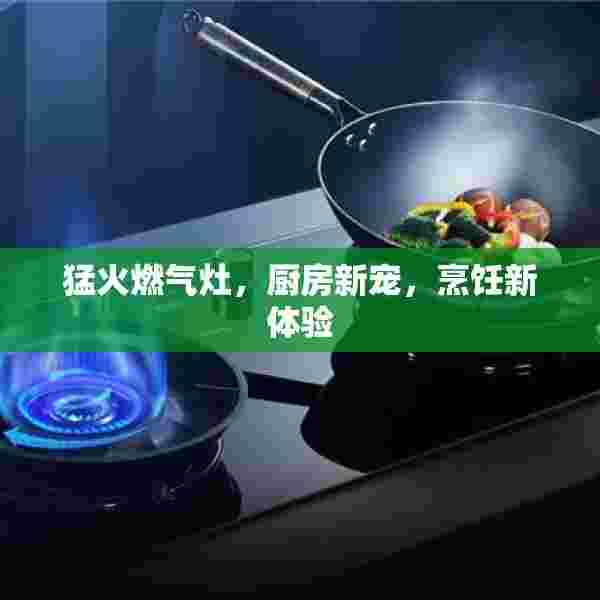 猛火燃气灶，厨房新宠，烹饪新体验