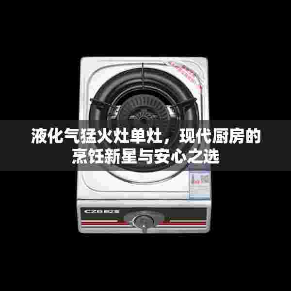 液化气猛火灶单灶，现代厨房的烹饪新星与安心之选