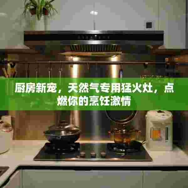厨房新宠，天然气专用猛火灶，点燃你的烹饪激情
