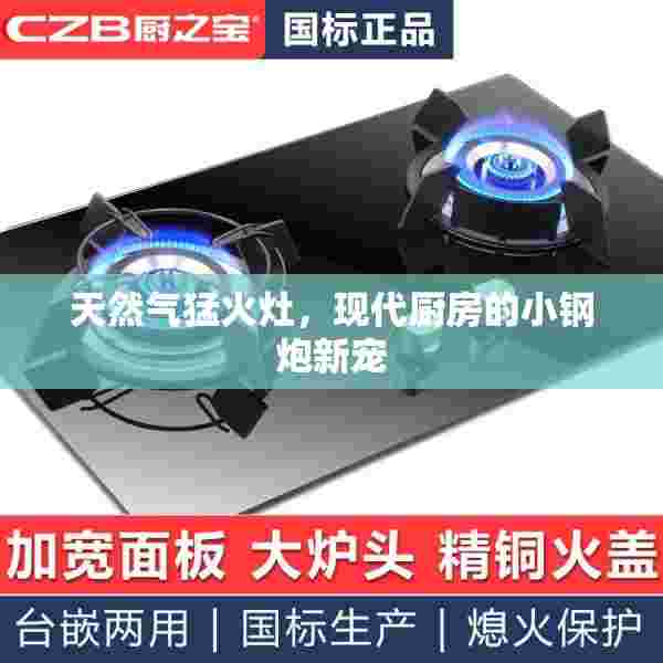 天然气猛火灶，现代厨房的小钢炮新宠